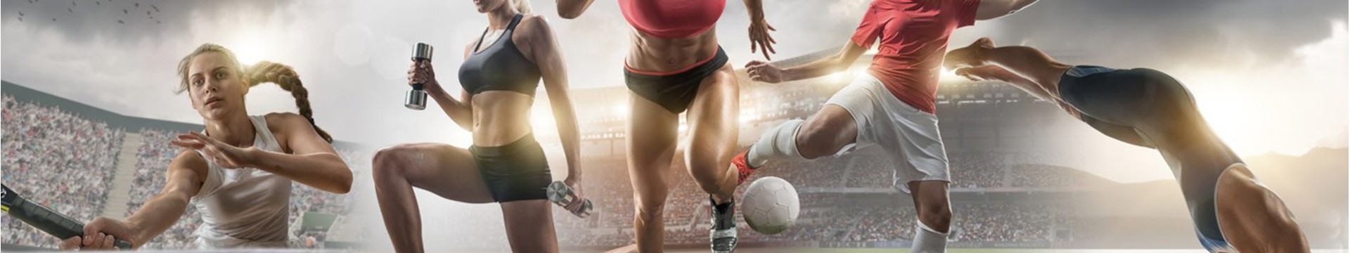 activities-for-the-competitive-hens-thumb.jpg